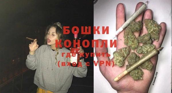 индика Усинск