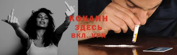 Альфа ПВП Аркадак