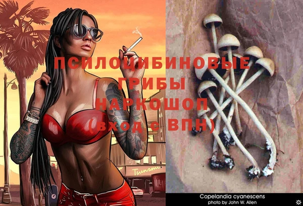 Альфа ПВП Аркадак