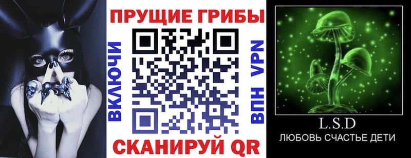 Галлюциногенные грибы Psilocybe  сайты даркнета телеграм  Фролово 